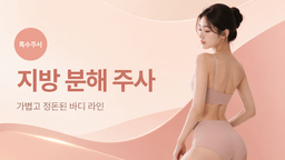 지방 분해 주사